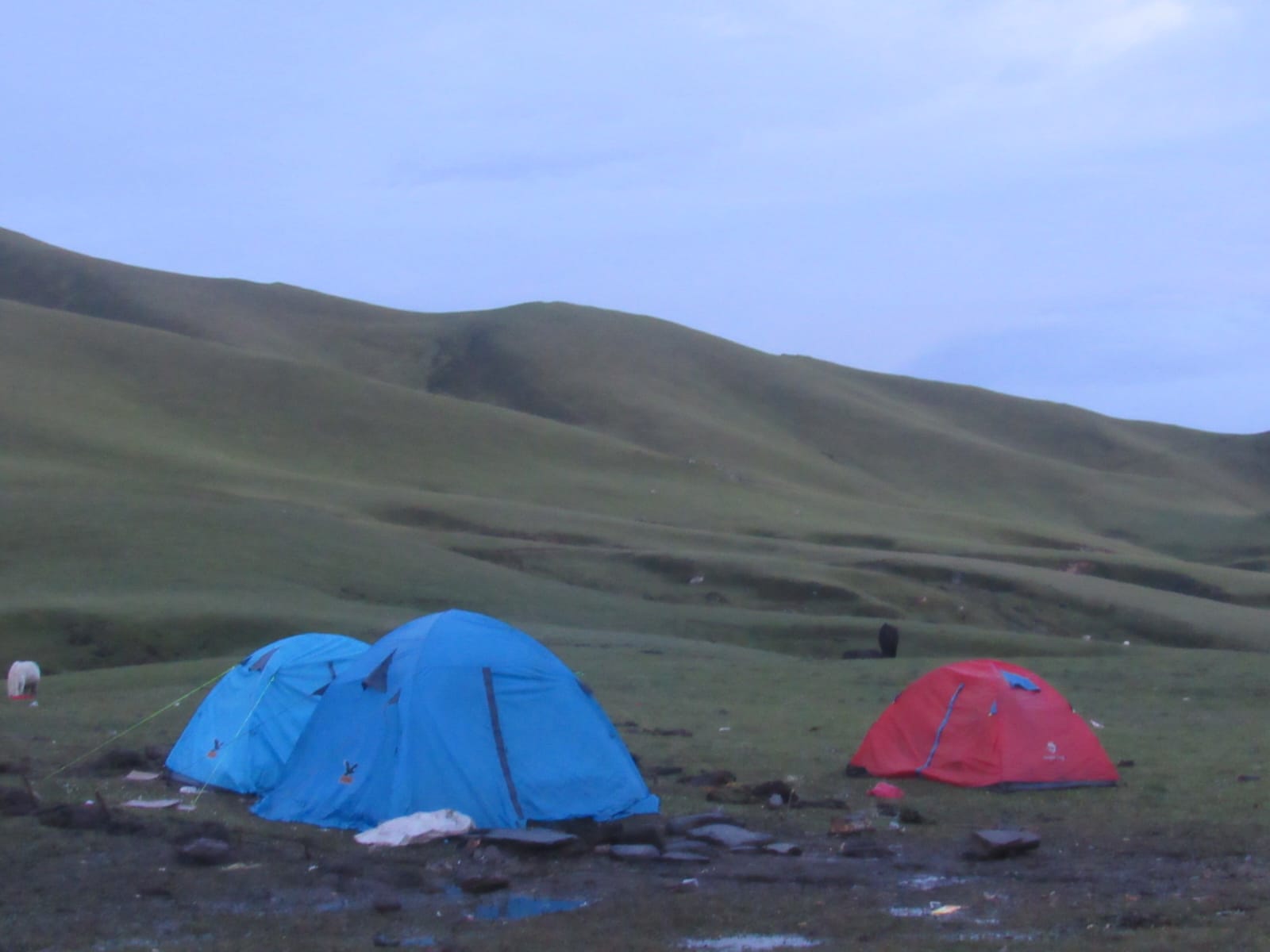 Badimalika Yatra — 6 or 8 Days (Flight or Drive)