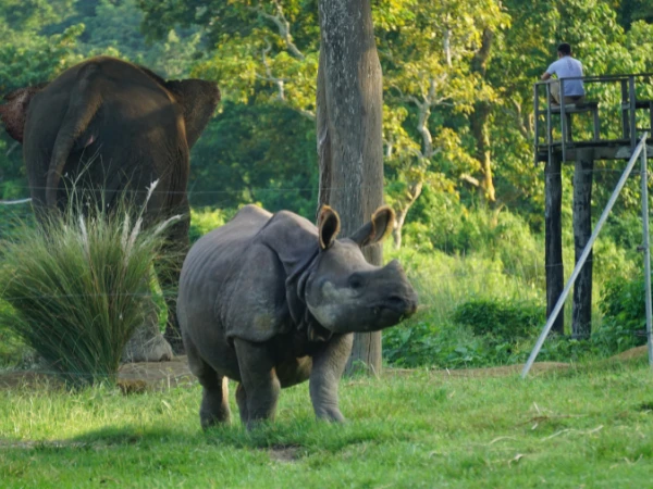 Best of Nepal — 9-Day Cultural & Wildlife Tour